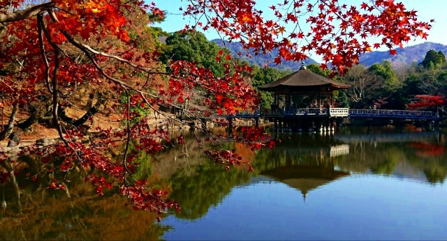 f:id:SAKI001:20191113153600j:image f:id:SAKI001:20191113153600j:image