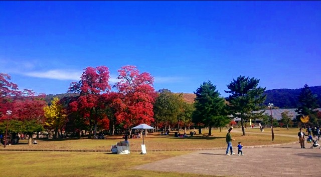 f:id:SAKI001:20191113153613j:image f:id:SAKI001:20191113153613j:image