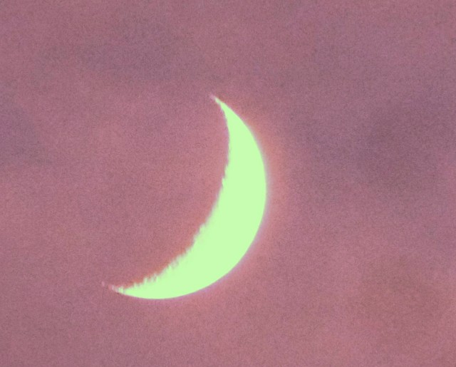 f:id:SAKI001:20191201192413j:image