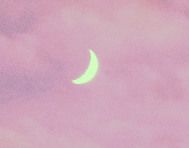 f:id:SAKI001:20191201192420j:image