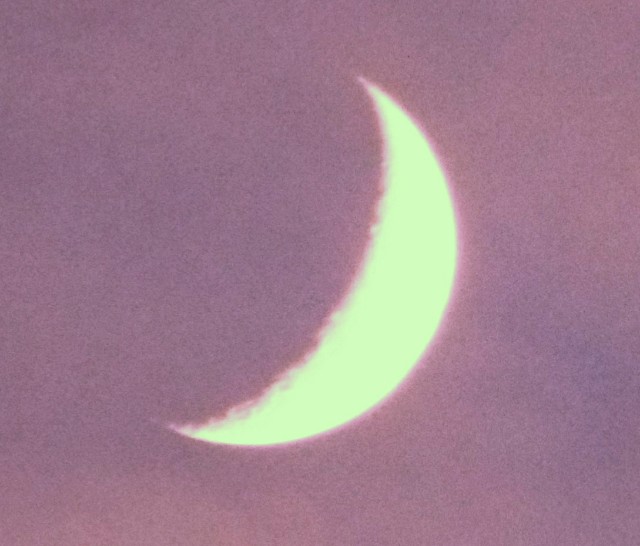 f:id:SAKI001:20191201192429j:image