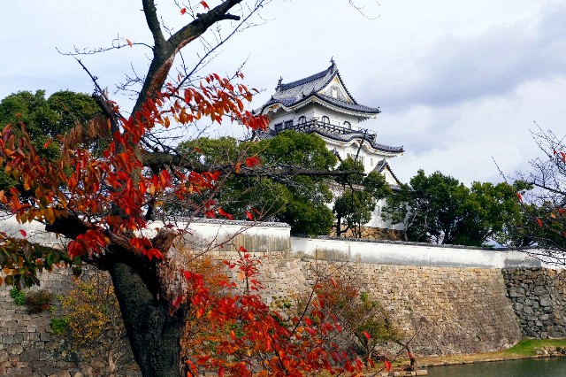 f:id:SAKI001:20191206140817j:image