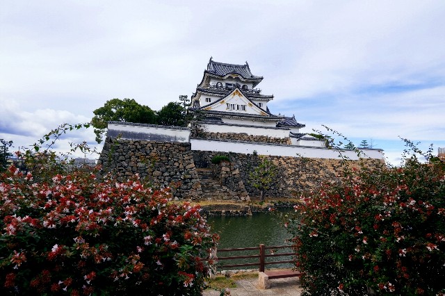 f:id:SAKI001:20191206140911j:image