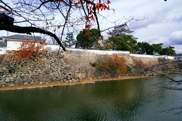 f:id:SAKI001:20191206140922j:image