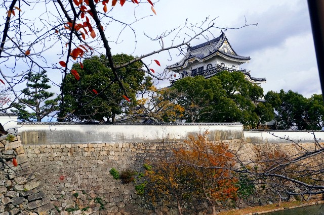 f:id:SAKI001:20191206140934j:image