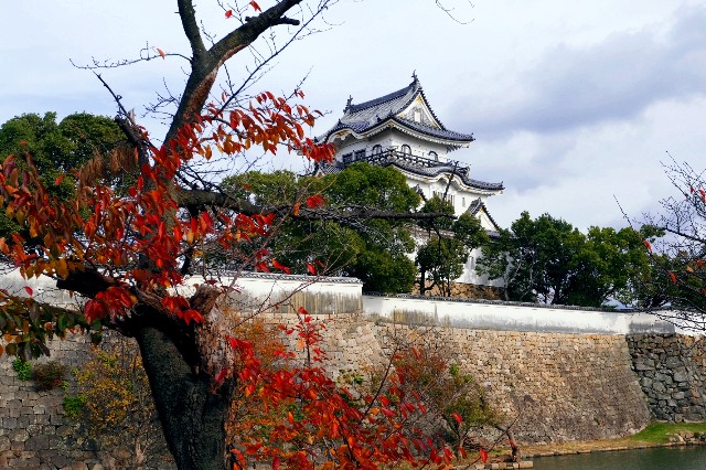 f:id:SAKI001:20191206140949j:image