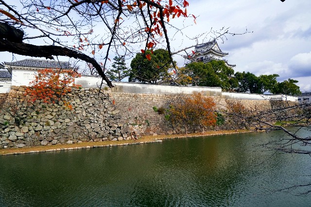 f:id:SAKI001:20191206141003j:image