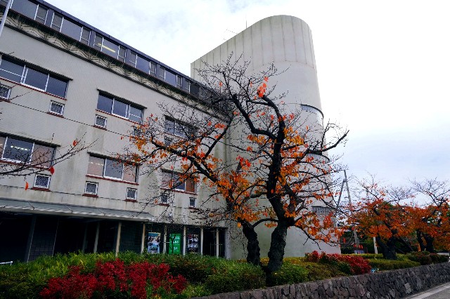 f:id:SAKI001:20191206141027j:image