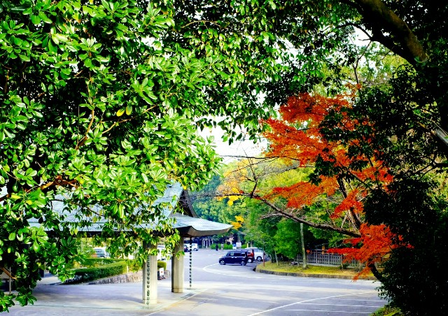 f:id:SAKI001:20191211120223j:image