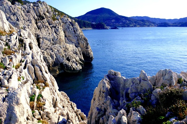 f:id:SAKI001:20191229190327j:image