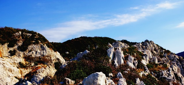 f:id:SAKI001:20191229190358j:image