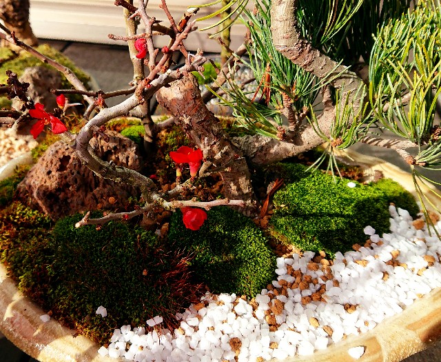 f:id:SAKI001:20200131212737j:image