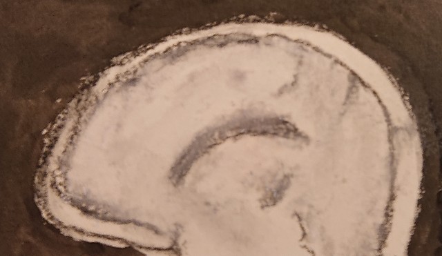 f:id:SAKI001:20200201153821j:image