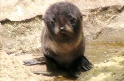 f:id:SAKI001:20200622084529j:image f:id:SAKI001:20200622084529j:image