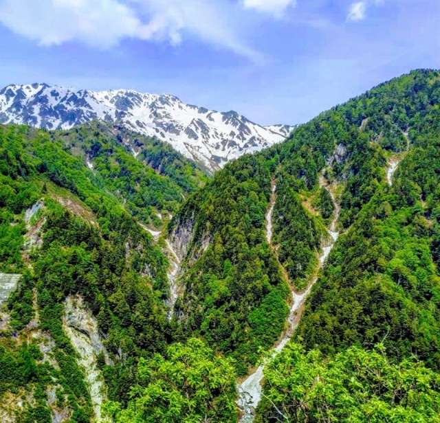 f:id:SAKI001:20200902212149j:image