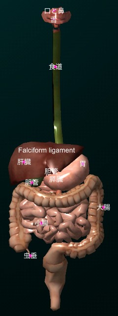 f:id:SAKI001:20200930151924j:image