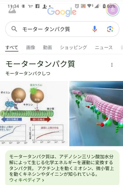 f:id:SAKI001:20240729114056j:image