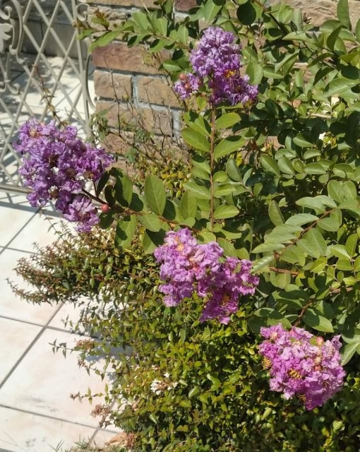 f:id:SAKI001:20240815072656j:image