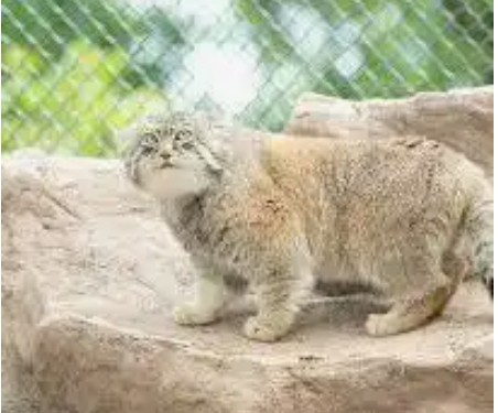 f:id:SAKI001:20240821155653j:image