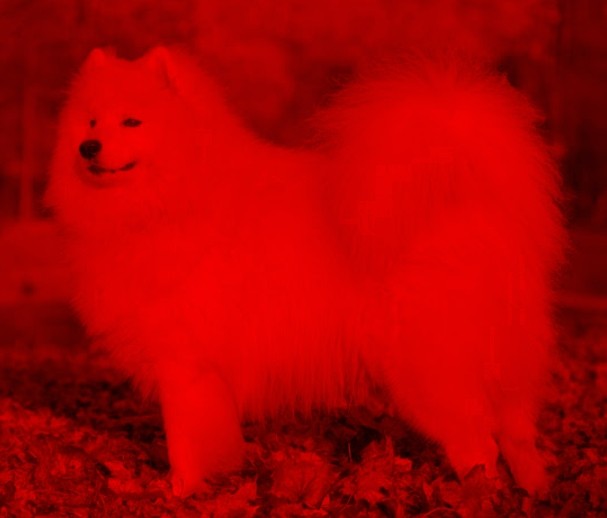 f:id:SAKI001:20240911211850j:image