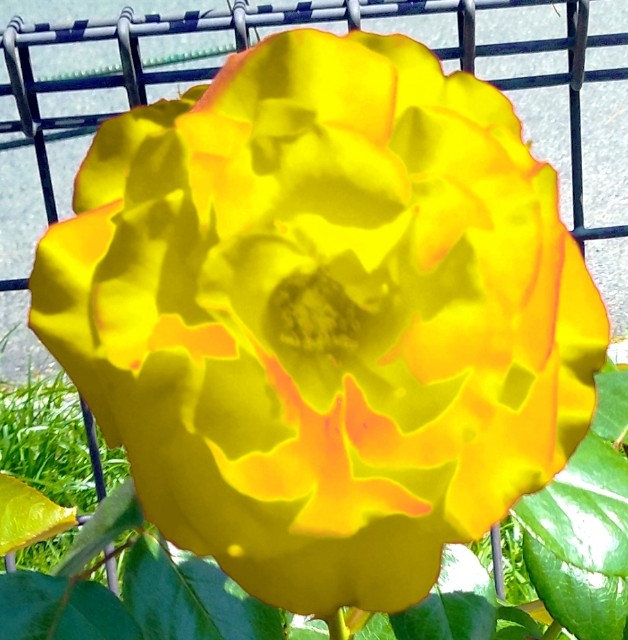 f:id:SAKI001:20240914052049j:image f:id:SAKI001:20240914052049j:image