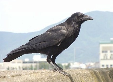 f:id:SAKI001:20240914052202j:image f:id:SAKI001:20240914052202j:image