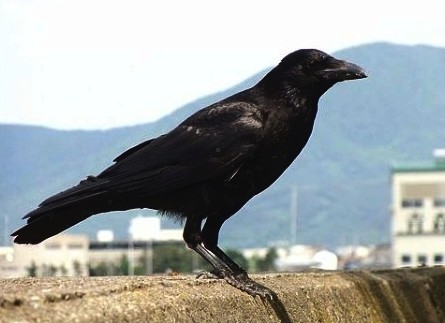 f:id:SAKI001:20240914052224j:image f:id:SAKI001:20240914052224j:image