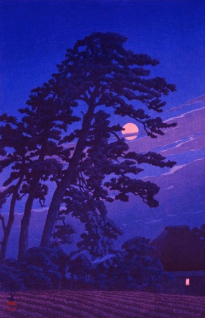 f:id:SAKI001:20240917072322j:image