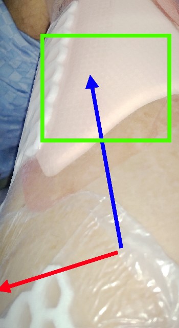 f:id:SAKI001:20240917154845j:image f:id:SAKI001:20240917154845j:image