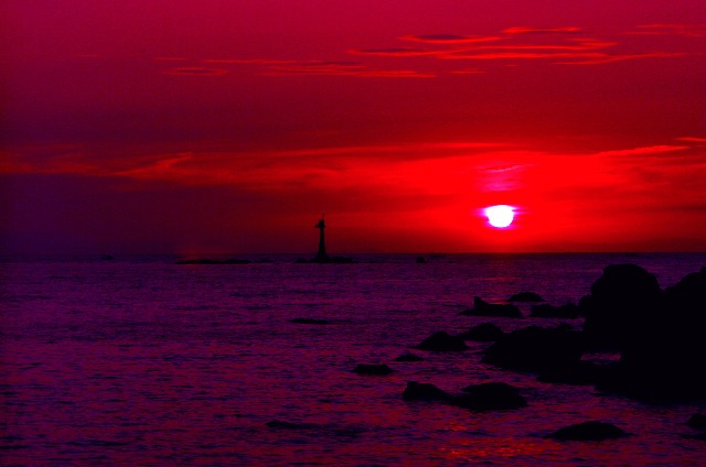 f:id:SAKI001:20240922094818j:image