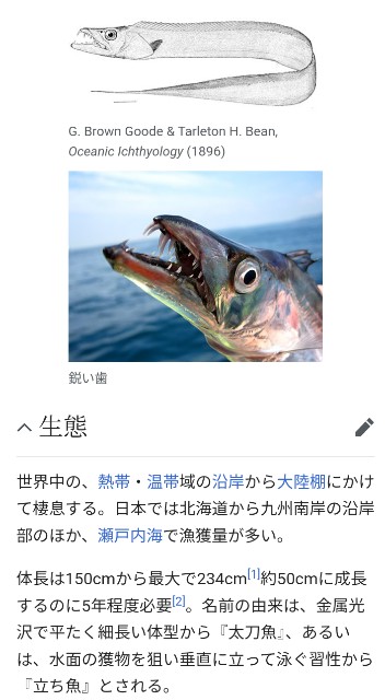 f:id:SAKI001:20241002125429j:image