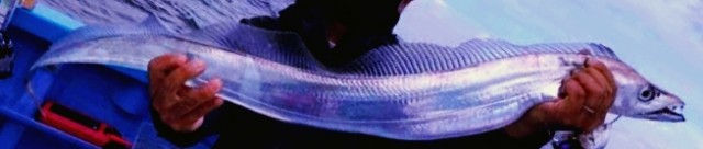 f:id:SAKI001:20241002125435j:image