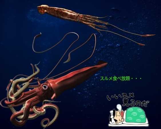 f:id:SAKI001:20241002212629j:image f:id:SAKI001:20241002212629j:image