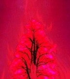 f:id:SAKI001:20241002214032j:image f:id:SAKI001:20241002214032j:image