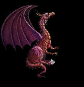 f:id:SAKI001:20241014103445j:image