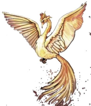 f:id:SAKI001:20241014104508j:image