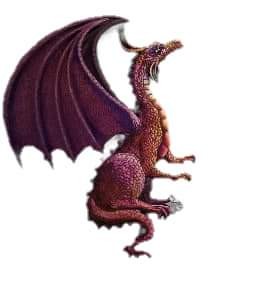 f:id:SAKI001:20241014104520j:image