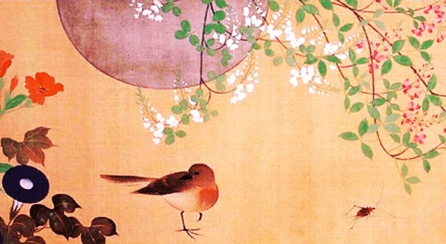 f:id:SAKI001:20241024151756j:image