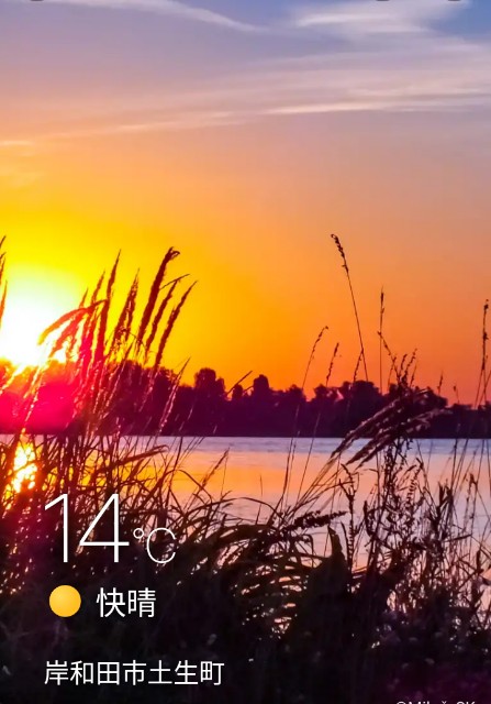 f:id:SAKI001:20241104071708j:image