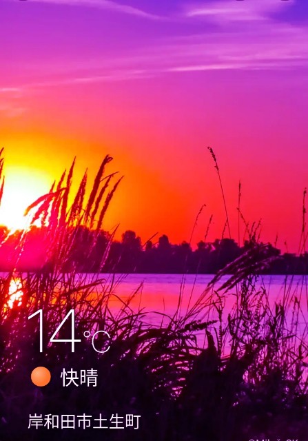 f:id:SAKI001:20241104071722j:image