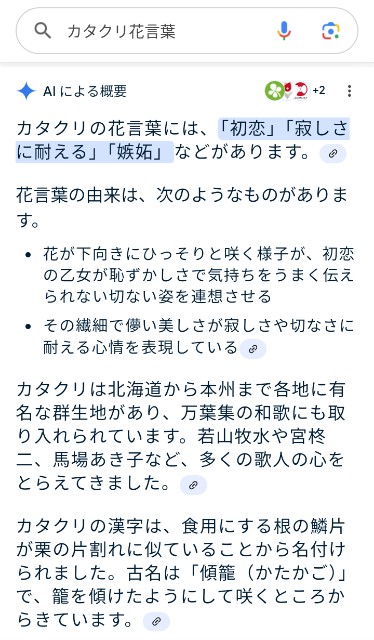 f:id:SAKI001:20241211123200j:image