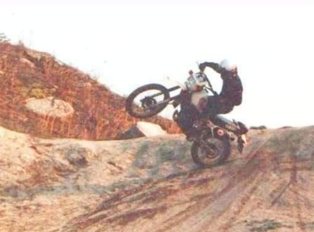 f:id:SAKI001:20241214153633j:image f:id:SAKI001:20241214153633j:image