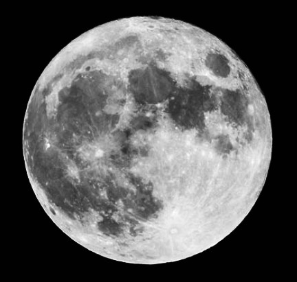 f:id:SAKI001:20241225201017j:image f:id:SAKI001:20241225201017j:image