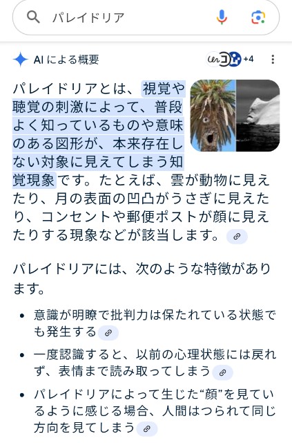 f:id:SAKI001:20241229155216j:image