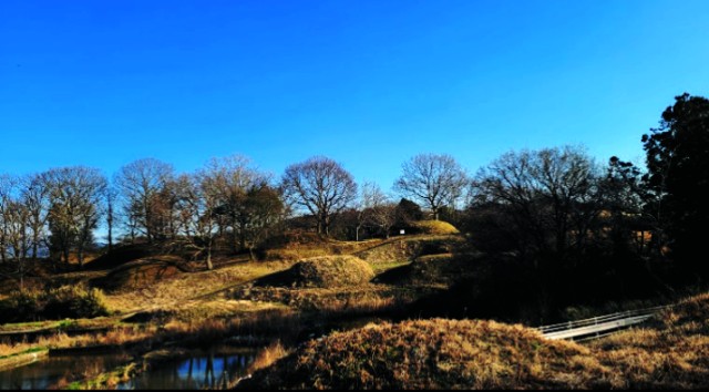 f:id:SAKI001:20250111165521j:image