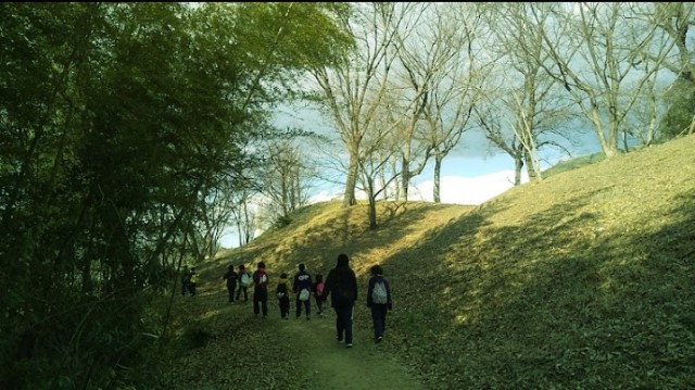 f:id:SAKI001:20250111165530j:image