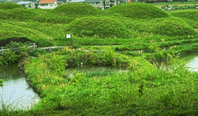 f:id:SAKI001:20250111165537j:image