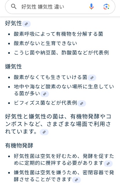 f:id:SAKI001:20250119040002j:image