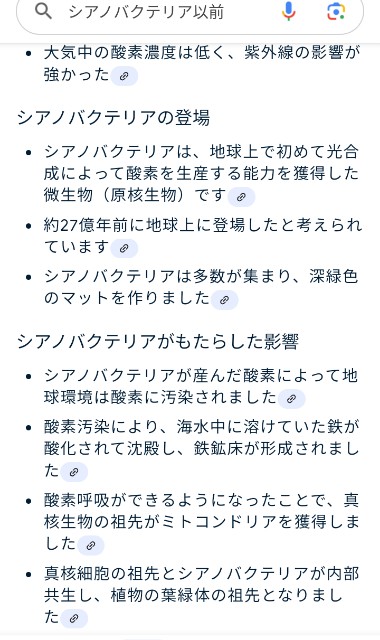 f:id:SAKI001:20250119040141j:image