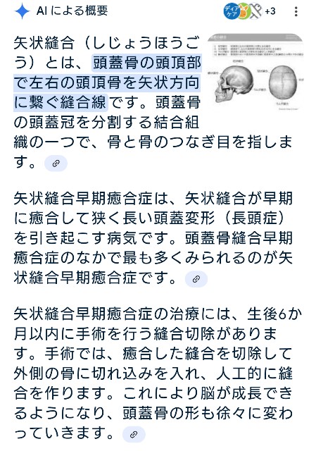 f:id:SAKI001:20250125163700j:image f:id:SAKI001:20250125163700j:image